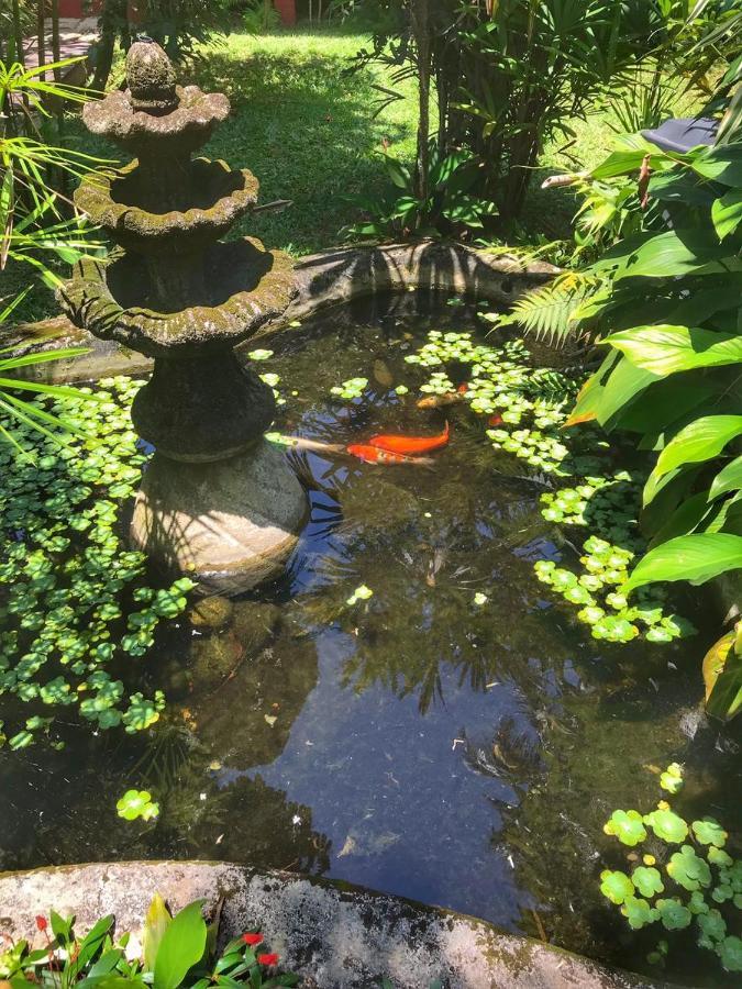 Pousada Canto Bella Terra إلهابيلا المظهر الخارجي الصورة